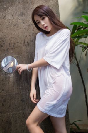 女律师的坠落2理伦片